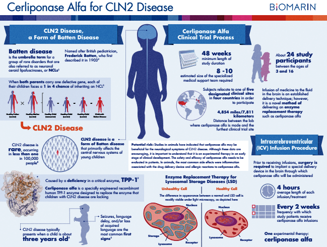 BioMarin Races Towards Next Rare Disease Approval - BioMarin ...